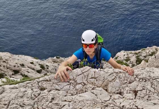 <?php echo e(get_post_field('post_excerpt', 20317)); ?>