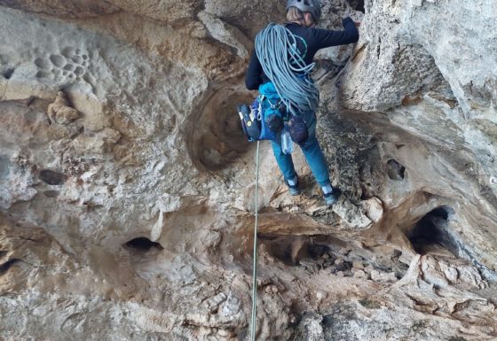 <?php echo e(get_post_field('post_excerpt', 20318)); ?>