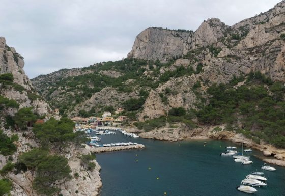 <?php echo e(get_post_field('post_excerpt', 20321)); ?>