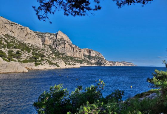 <?php echo e(get_post_field('post_excerpt', 20322)); ?>