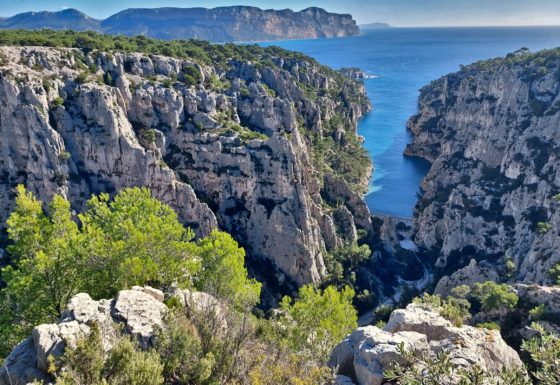 <?php echo e(get_post_field('post_excerpt', 20324)); ?>