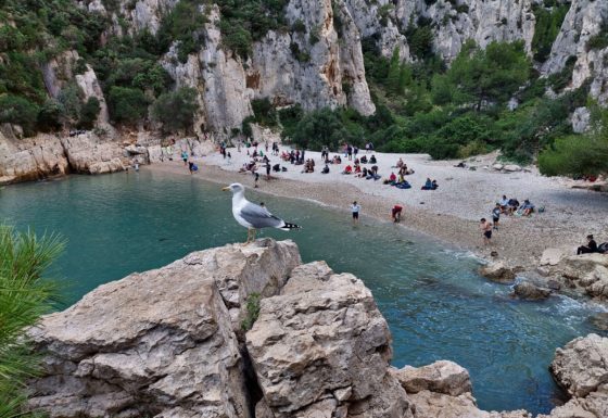 <?php echo e(get_post_field('post_excerpt', 20325)); ?>