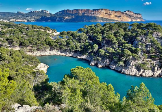 <?php echo e(get_post_field('post_excerpt', 20326)); ?>