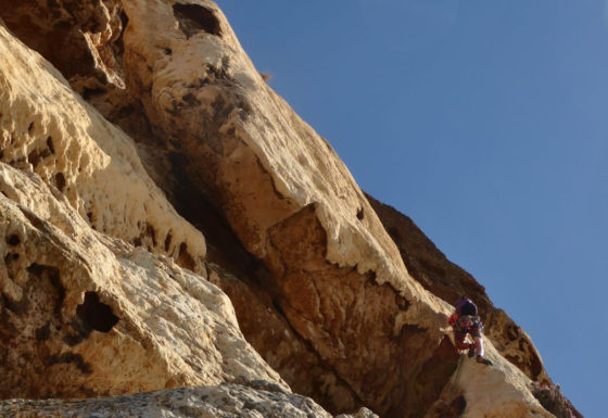 <?php echo e(get_post_field('post_excerpt', 20327)); ?>