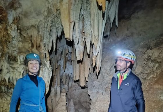 <?php echo e(get_post_field('post_excerpt', 20328)); ?>