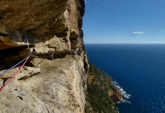 <?php echo e(get_post_field('post_excerpt', 20330)); ?>