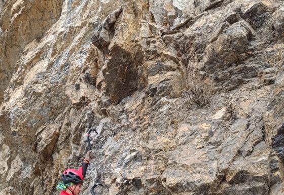 <?php echo e(get_post_field('post_excerpt', 20647)); ?>