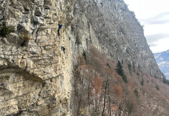 <?php echo e(get_post_field('post_excerpt', 20649)); ?>