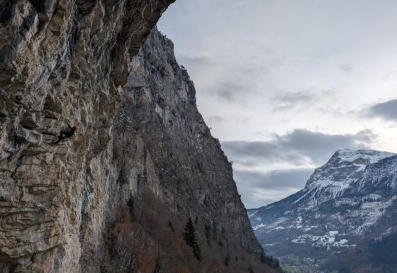 <?php echo e(get_post_field('post_excerpt', 20657)); ?>