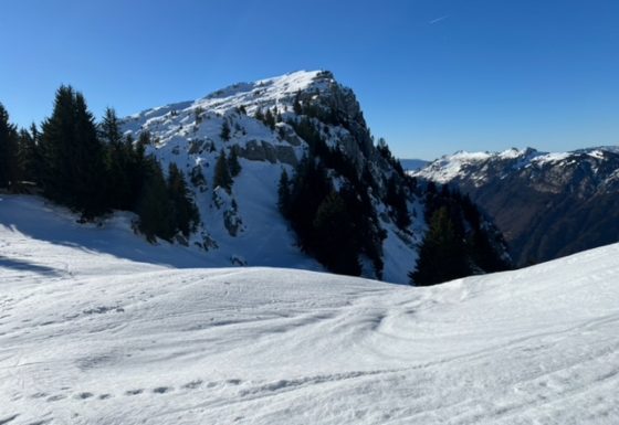 <?php echo e(get_post_field('post_excerpt', 20789)); ?>