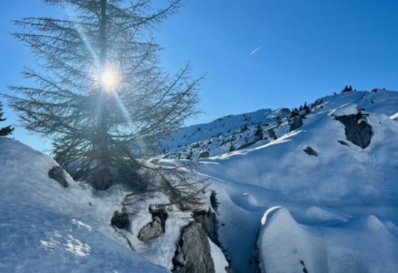 <?php echo e(get_post_field('post_excerpt', 20794)); ?>