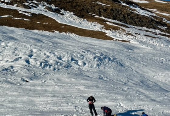 <?php echo e(get_post_field('post_excerpt', 20795)); ?>