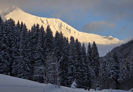 <?php echo e(get_post_field('post_excerpt', 21191)); ?>