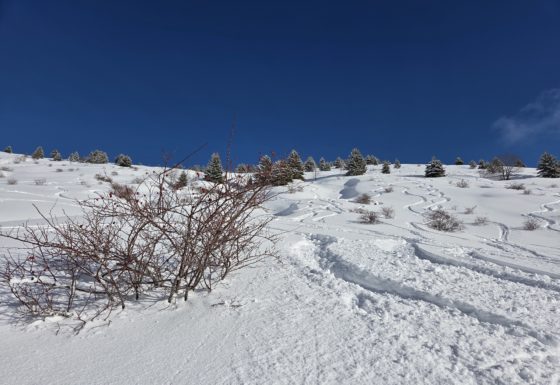 <?php echo e(get_post_field('post_excerpt', 21201)); ?>