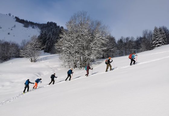 <?php echo e(get_post_field('post_excerpt', 21192)); ?>