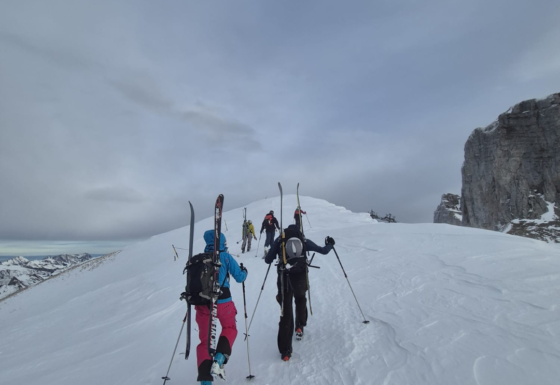 <?php echo e(get_post_field('post_excerpt', 21274)); ?>