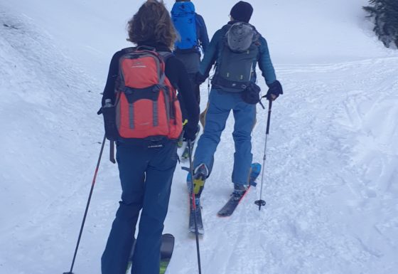 <?php echo e(get_post_field('post_excerpt', 21400)); ?>