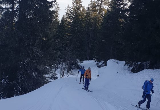 <?php echo e(get_post_field('post_excerpt', 21401)); ?>