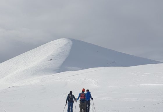 <?php echo e(get_post_field('post_excerpt', 21408)); ?>