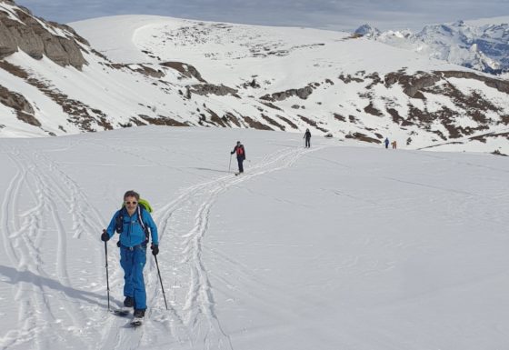 <?php echo e(get_post_field('post_excerpt', 21409)); ?>