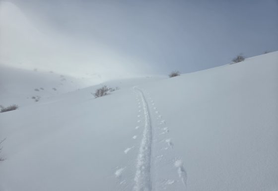 <?php echo e(get_post_field('post_excerpt', 21193)); ?>