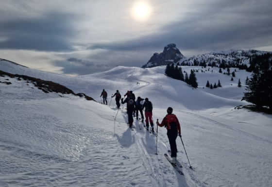 <?php echo e(get_post_field('post_excerpt', 21276)); ?>