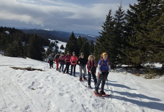 <?php echo e(get_post_field('post_excerpt', 21268)); ?>