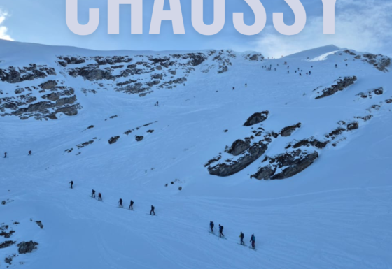 <?php echo e(get_post_field('post_excerpt', 21277)); ?>