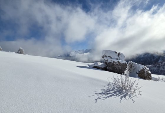 <?php echo e(get_post_field('post_excerpt', 21195)); ?>