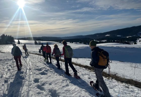 <?php echo e(get_post_field('post_excerpt', 21269)); ?>