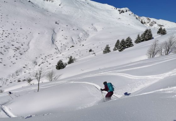 <?php echo e(get_post_field('post_excerpt', 21203)); ?>