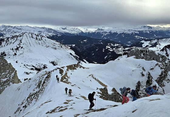 <?php echo e(get_post_field('post_excerpt', 21335)); ?>