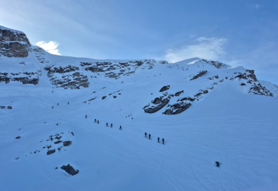 <?php echo e(get_post_field('post_excerpt', 21347)); ?>