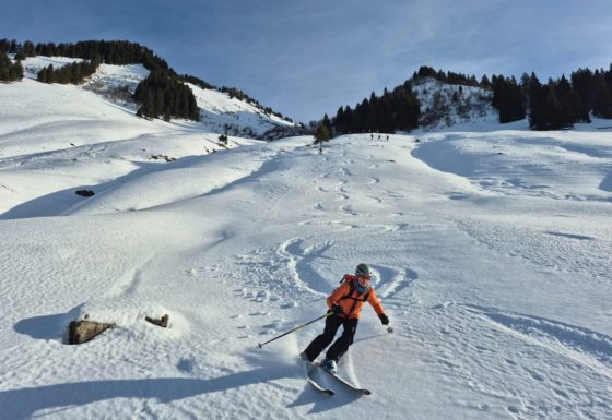 <?php echo e(get_post_field('post_excerpt', 21348)); ?>