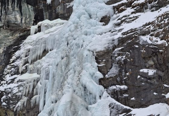 <?php echo e(get_post_field('post_excerpt', 21284)); ?>