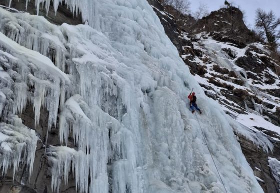 <?php echo e(get_post_field('post_excerpt', 21285)); ?>