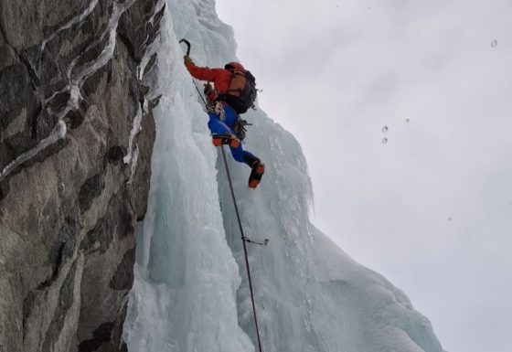 <?php echo e(get_post_field('post_excerpt', 21286)); ?>