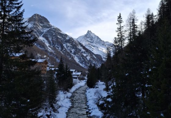 <?php echo e(get_post_field('post_excerpt', 21288)); ?>