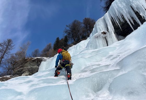 <?php echo e(get_post_field('post_excerpt', 21289)); ?>