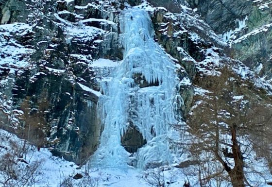 <?php echo e(get_post_field('post_excerpt', 21290)); ?>