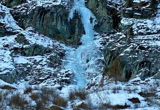 <?php echo e(get_post_field('post_excerpt', 21291)); ?>