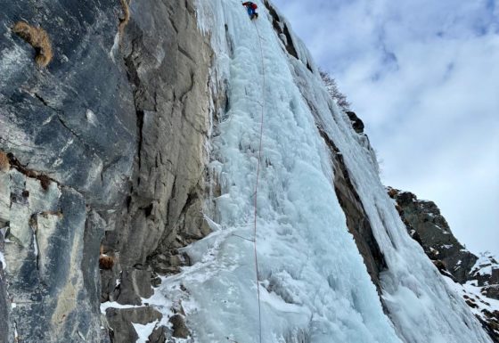 <?php echo e(get_post_field('post_excerpt', 21292)); ?>