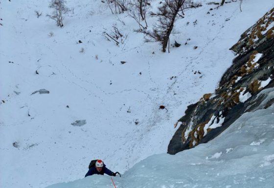 <?php echo e(get_post_field('post_excerpt', 21293)); ?>