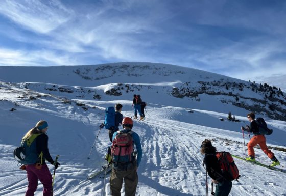 <?php echo e(get_post_field('post_excerpt', 21410)); ?>