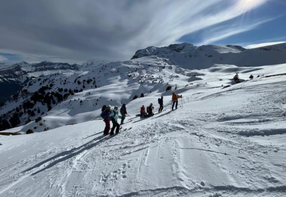 <?php echo e(get_post_field('post_excerpt', 21411)); ?>