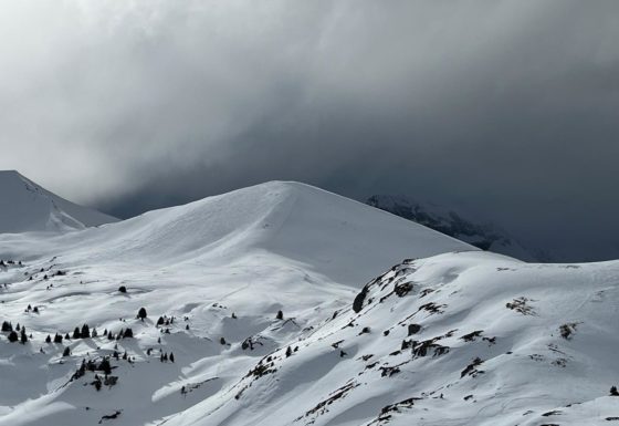 <?php echo e(get_post_field('post_excerpt', 21416)); ?>