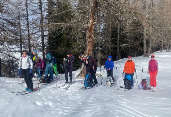 <?php echo e(get_post_field('post_excerpt', 21422)); ?>