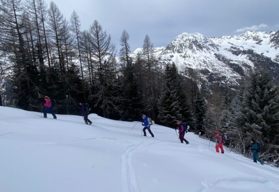 <?php echo e(get_post_field('post_excerpt', 21424)); ?>