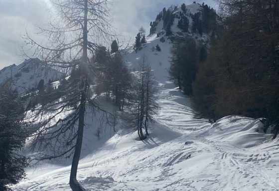 <?php echo e(get_post_field('post_excerpt', 21428)); ?>