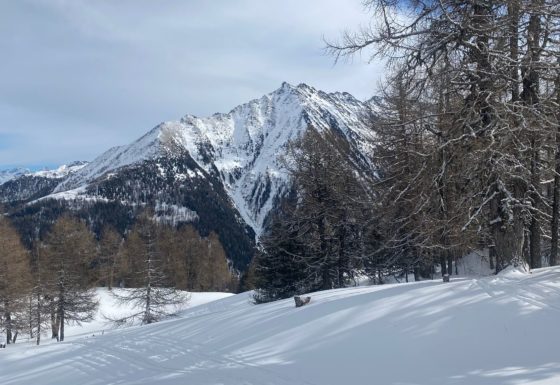 <?php echo e(get_post_field('post_excerpt', 21429)); ?>